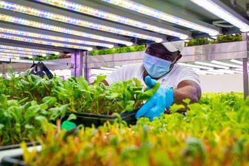 Vegan Venture Capital Fund Targets Post-Pandemic Food Dilemmas