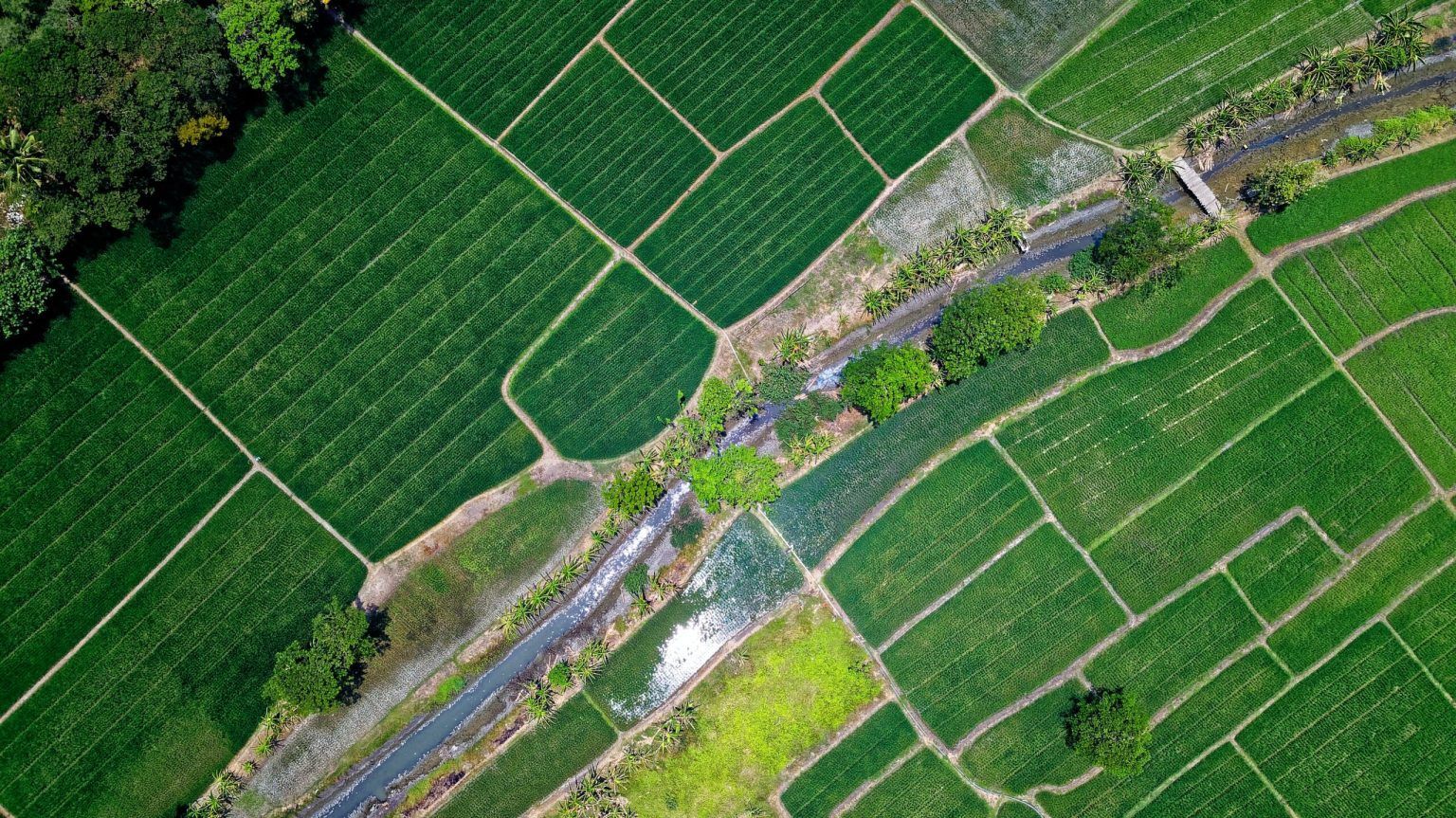 Agriculture Hector Freitas
