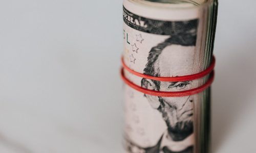 Livekindly Capital Raise
